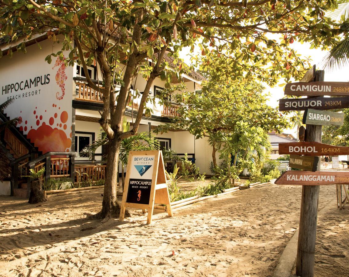 Hippocampus Beach Resort Isla de Malapascua Exterior foto